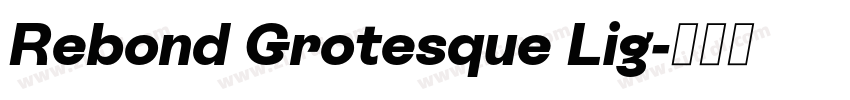 Rebond Grotesque Lig字体转换 Rebond Grotesque Lig字体转换